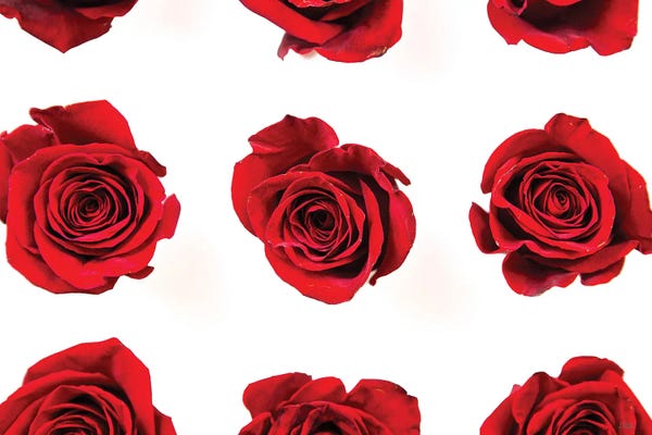 Fine Art Print: Red Roses II by Donnie Quillen