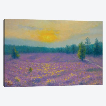 Lavender Evening Canvas Print #DOY18} by Dmitry Oleyn Canvas Print