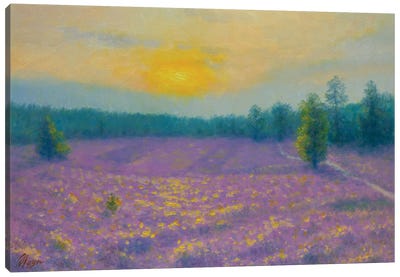 Lavender Evening Canvas Art Print - Dmitry Oleyn