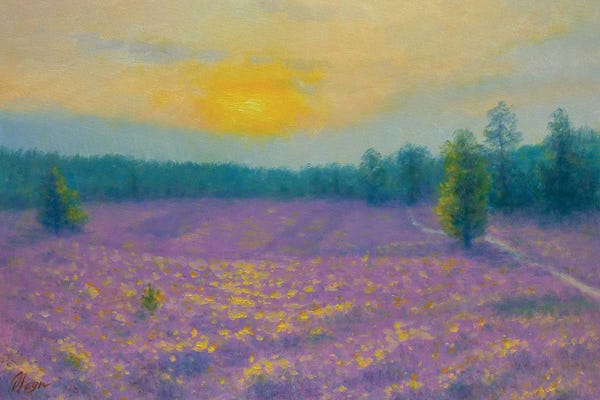 Herbs: Lavender Evening by Dmitry Oleyn