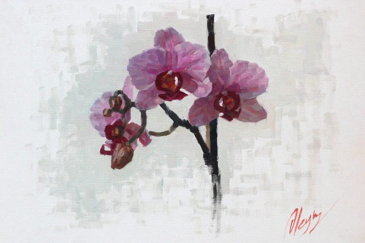 Orchids