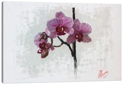 Orchids Canvas Art Print - Dmitry Oleyn