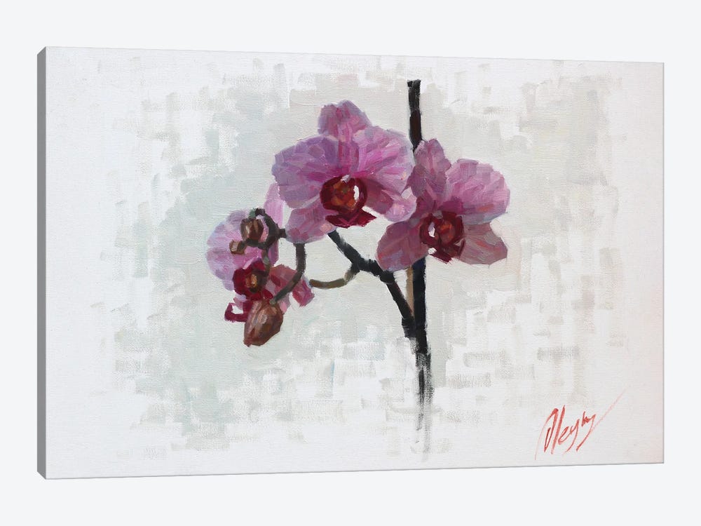 Orchids by Dmitry Oleyn 1-piece Canvas Art Print