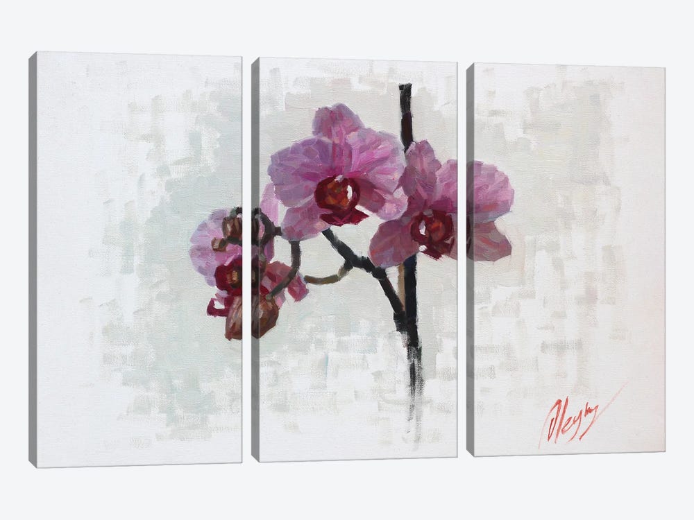 Orchids by Dmitry Oleyn 3-piece Canvas Art Print