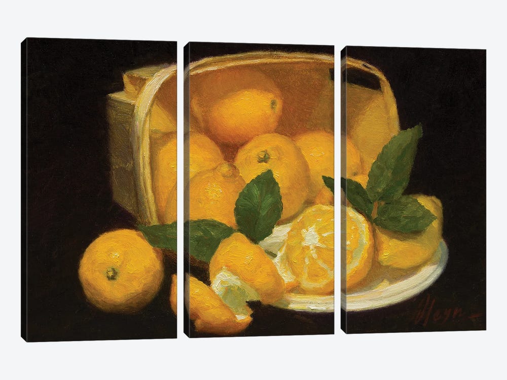 Lemons by Dmitry Oleyn 3-piece Canvas Art Print