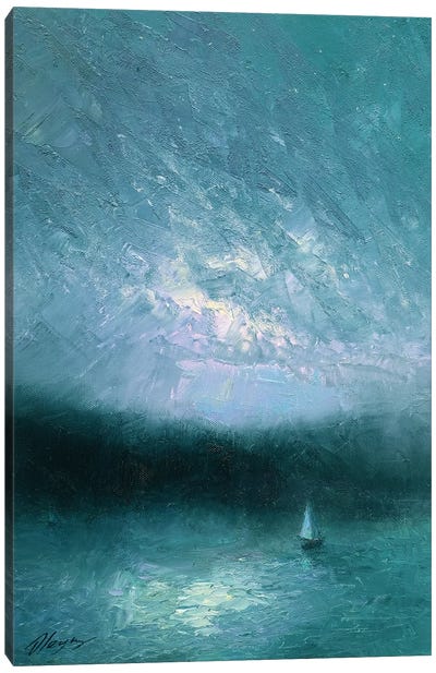 Misty Island Canvas Art Print - Dmitry Oleyn