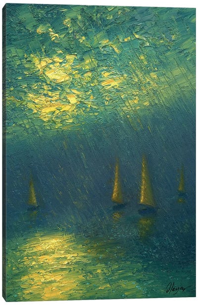 Rainy River Canvas Art Print - Dmitry Oleyn