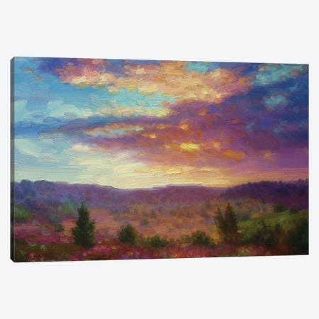Sunset XII Canvas Print #DOY94} by Dmitry Oleyn Canvas Wall Art