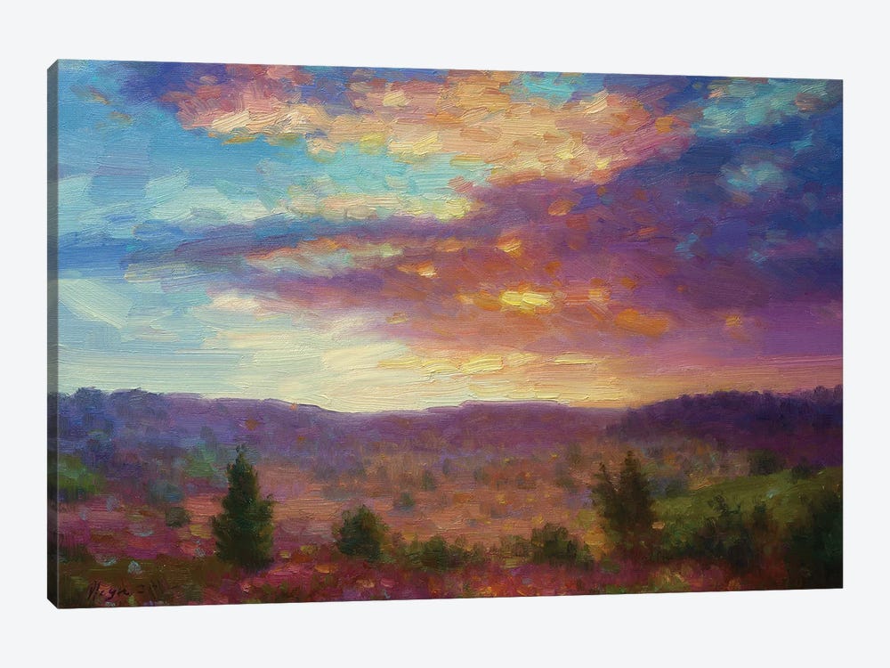 Sunset XII by Dmitry Oleyn 1-piece Canvas Artwork