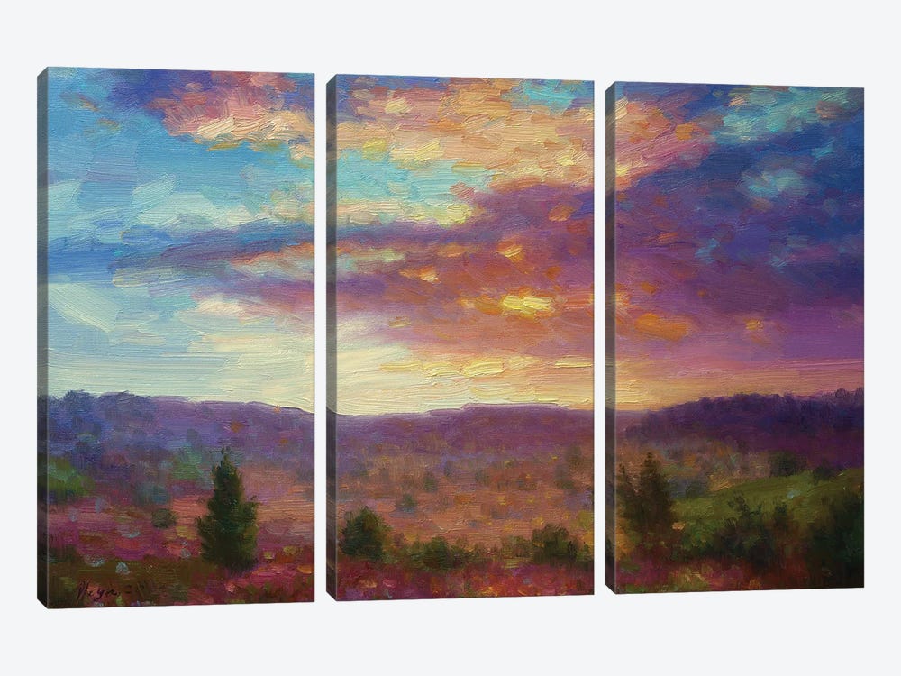 Sunset XII by Dmitry Oleyn 3-piece Canvas Artwork