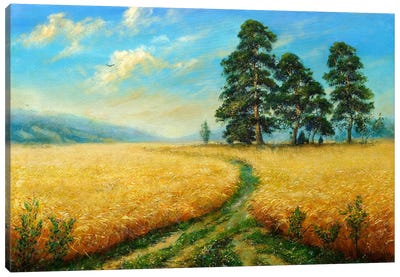 Summer Road Canvas Art Print - Dmitry Oleyn