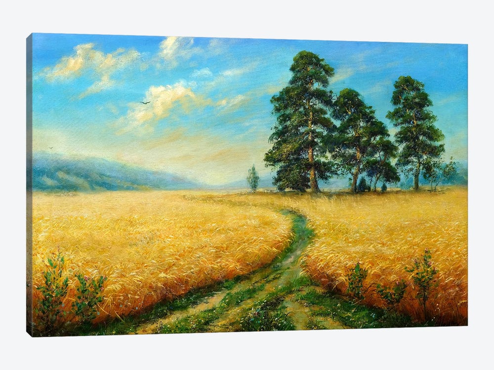 Summer Road by Dmitry Oleyn 1-piece Canvas Art Print