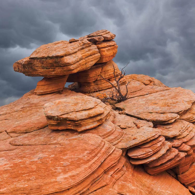 Sandstone Formations, Yant Flat, Utah, USA