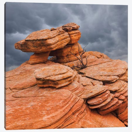Sandstone Formations, Yant Flat, Utah, USA Canvas Print #DPA13} by Don Paulson Canvas Artwork