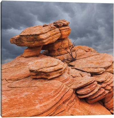 Sandstone Formations, Yant Flat, Utah, USA Canvas Art Print