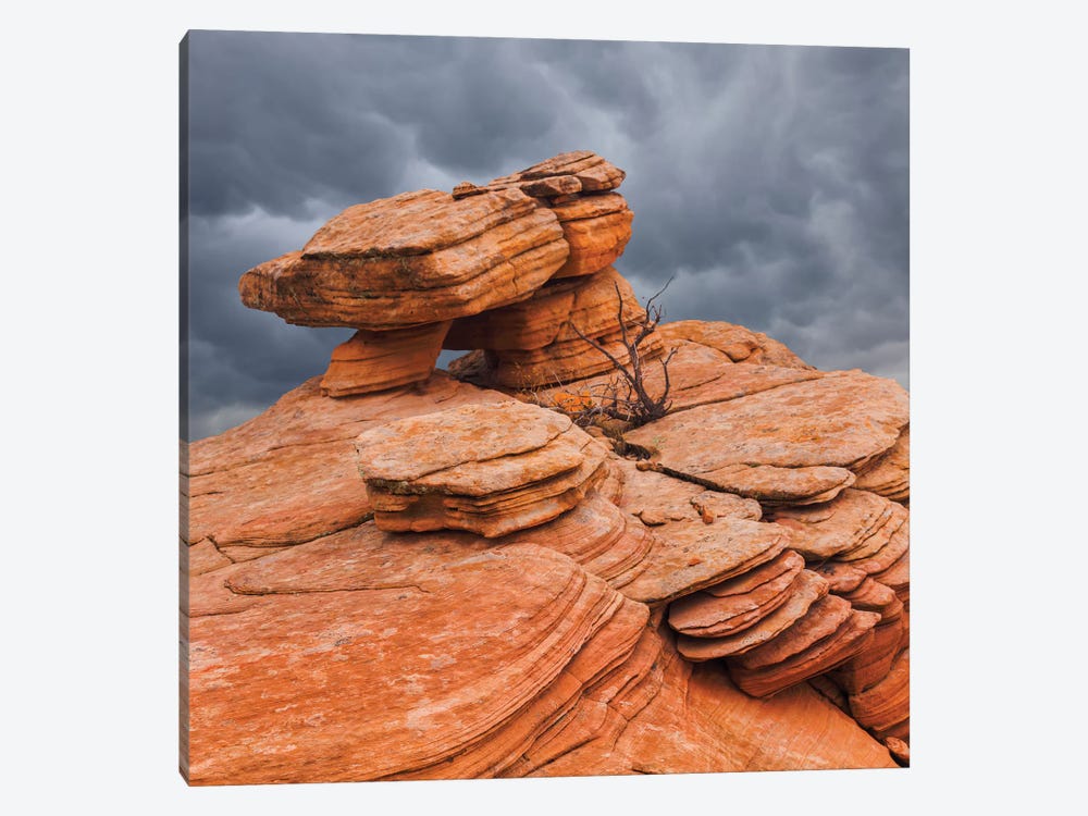 Sandstone Formations, Yant Flat, Utah, USA 1-piece Canvas Art