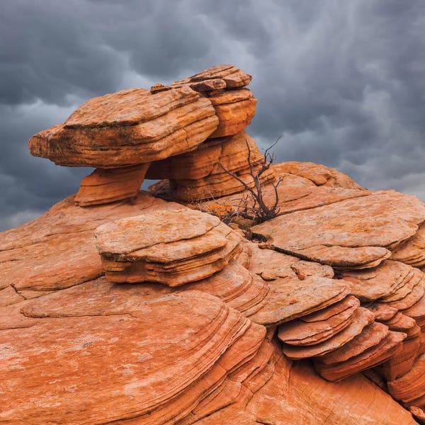 Don Paulson: Sandstone Formations, Yant Flat, Utah, USA by Don Paulson
