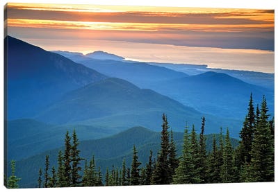 Coastal Landscape At Sunset, Olympic National Park, Washington, USA Canvas Art Print - Evergreen Tree Art