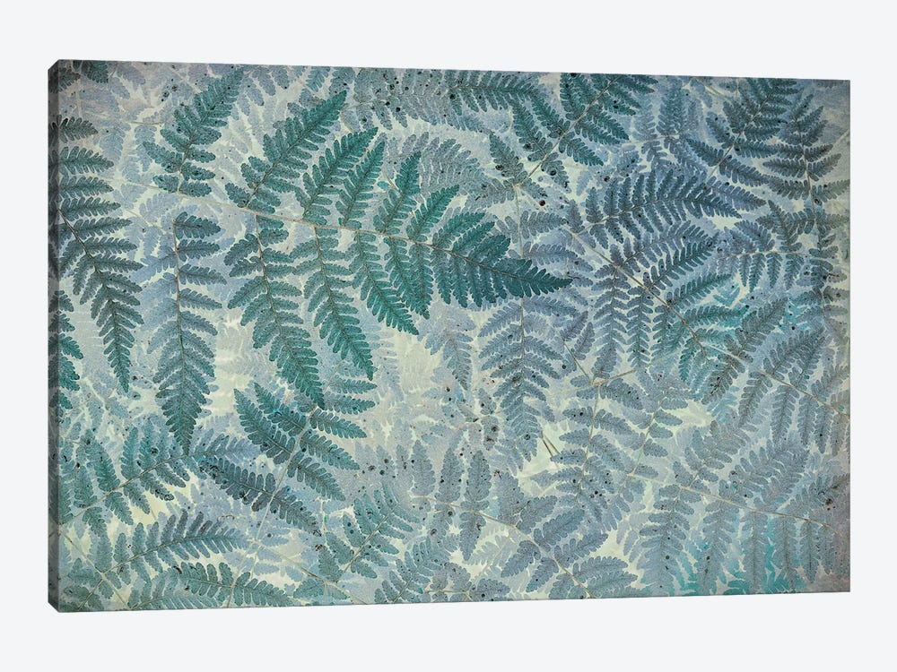 Oak Fern Pattern by Don Paulson 1-piece Art Print