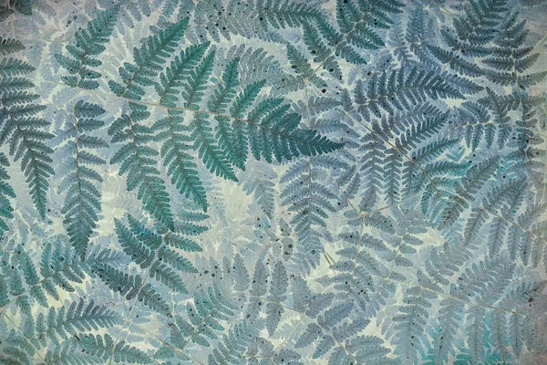 Ferns: Oak Fern Pattern by Don Paulson