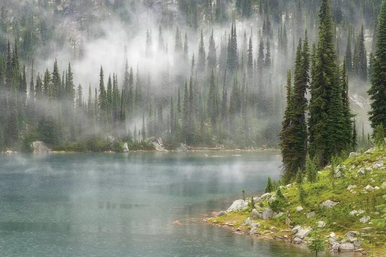 Fog & Rain Over Eva Lake, Mount Revelstoke National Park, British Columbia, Canada