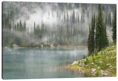 Fog & Rain Over Eva Lake, Mount Revelstoke National Park, British Columbia, Canada Canvas Art Print - Evergreen Tree Art