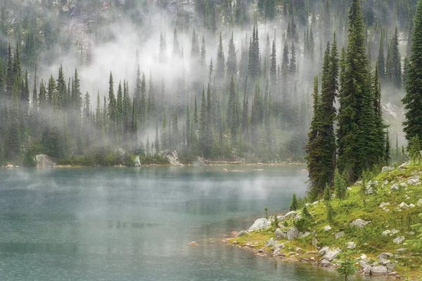 Mist & Fog: Fog & Rain Over Eva Lake, Mount Revelstoke National Park, British Columbia, Canada by Don Paulson