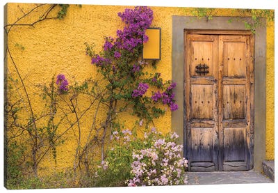Bougainvillea Next To A Wooden Door, San Miguel de Allende, Guanajuato, Mexico Canvas Art Print