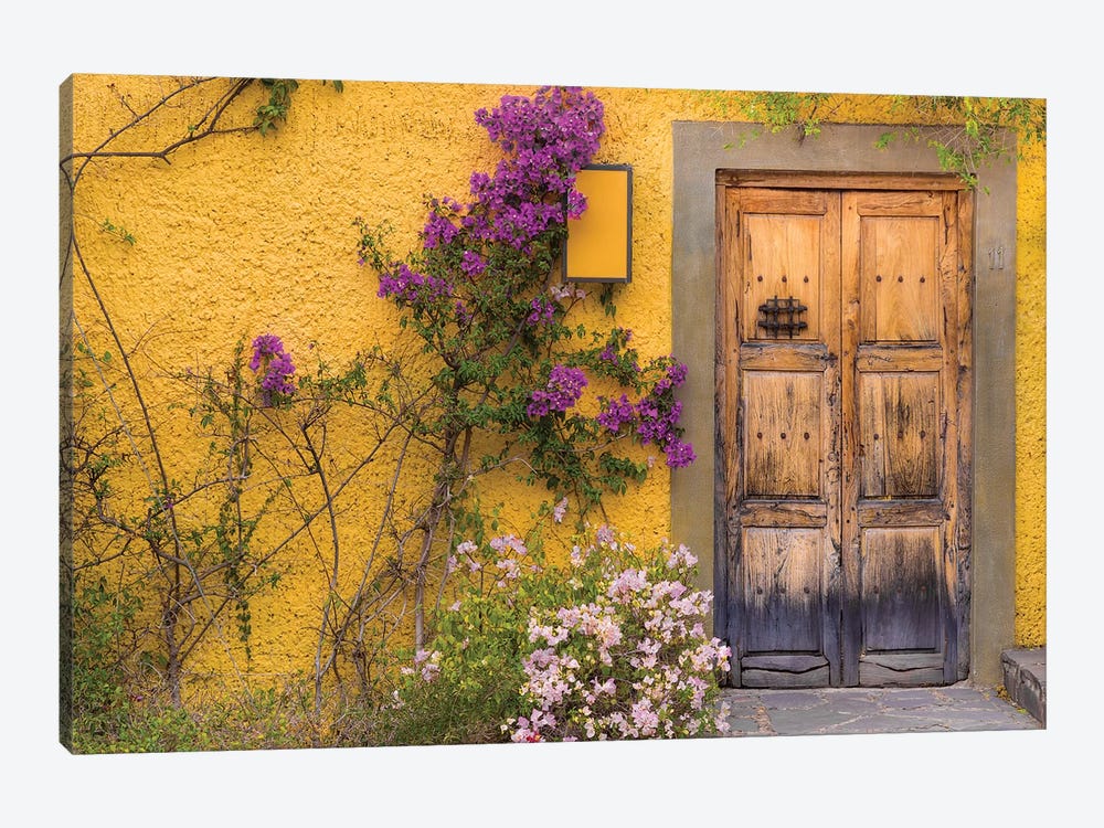 Bougainvillea Next To A Wooden Door, San Miguel de Allende, Guanajuato, Mexico by Don Paulson 1-piece Canvas Wall Art