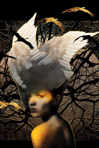 Daphne Horev: Hypnos Wings - Winter Window by Daphne Horev