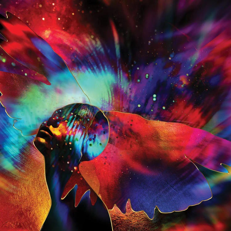 Hypnos' Wings - Fantasy by Daphne Horev wall art