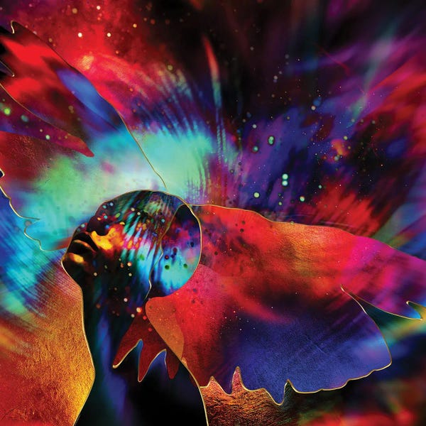 Daphne Horev: Hypnos' Wings - Fantasy by Daphne Horev