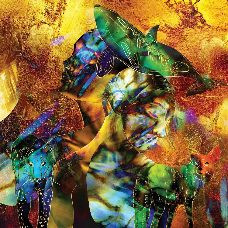 The Light Heart Of The Whale