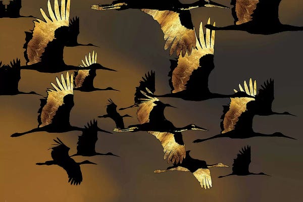 Zen Bedroom: Change Is In The Air by Daphne Horev