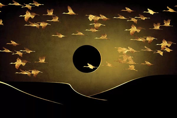 Daphne Horev: Desert Eclipse by Daphne Horev