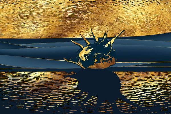 Daphne Horev: After Sunset by Daphne Horev