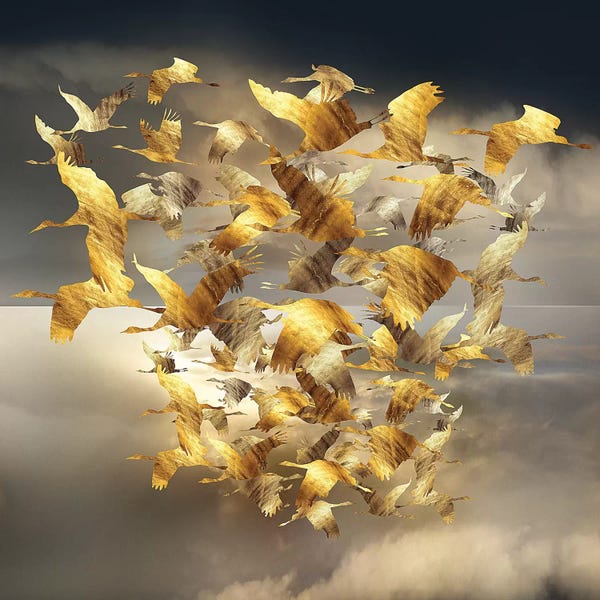 Daphne Horev: Airborne Spiral  by Daphne Horev