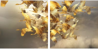 Airborne Spiral Diptych by Daphne Horev multi panel art