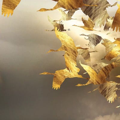 Airborne Spiral I by Daphne Horev canvas print