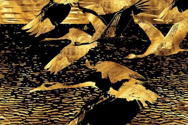 Daphne Horev: Longing In Motion by Daphne Horev