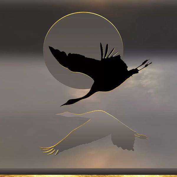 Daphne Horev: Nocturnal Magic by Daphne Horev