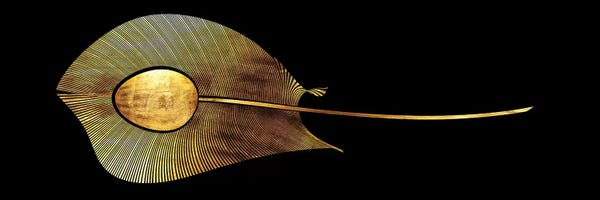 Daphne Horev: Peacock's Eye by Daphne Horev