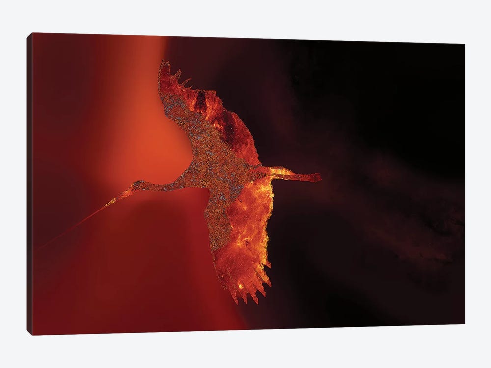 Phoenix - Resurrection by Daphne Horev 1-piece Canvas Print