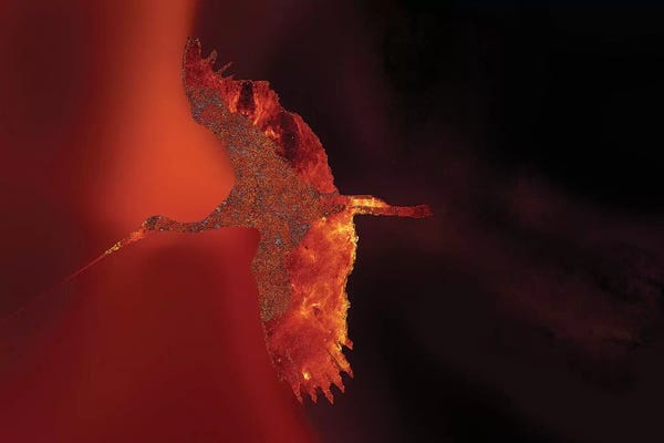 Daphne Horev: Phoenix - Resurrection by Daphne Horev