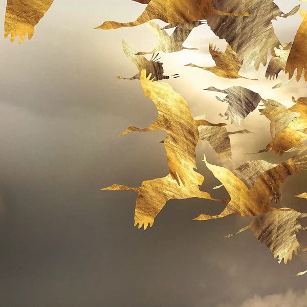 Daphne Horev: Airborne Spiral I by Daphne Horev