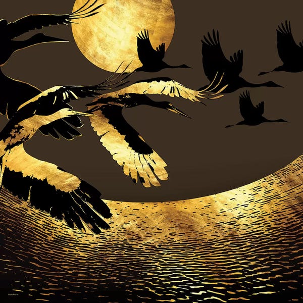 Daphne Horev: Sleepless Nights by Daphne Horev