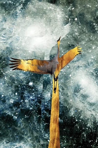 Solo Flight by Daphne Horev art print