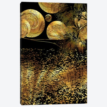 Starry Night Canvas Print #DPH46} by Daphne Horev Canvas Print