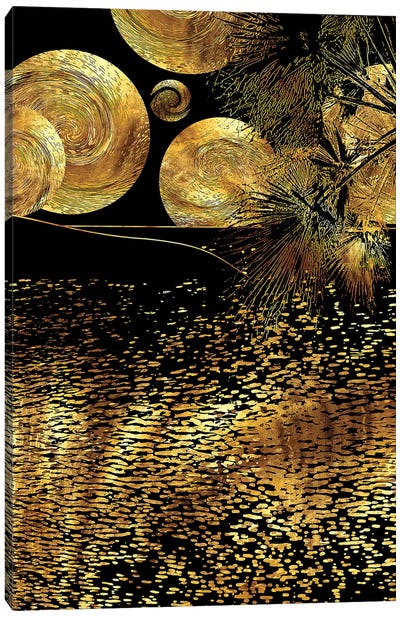 Starry Night Canvas Art Print - Daphne Horev
