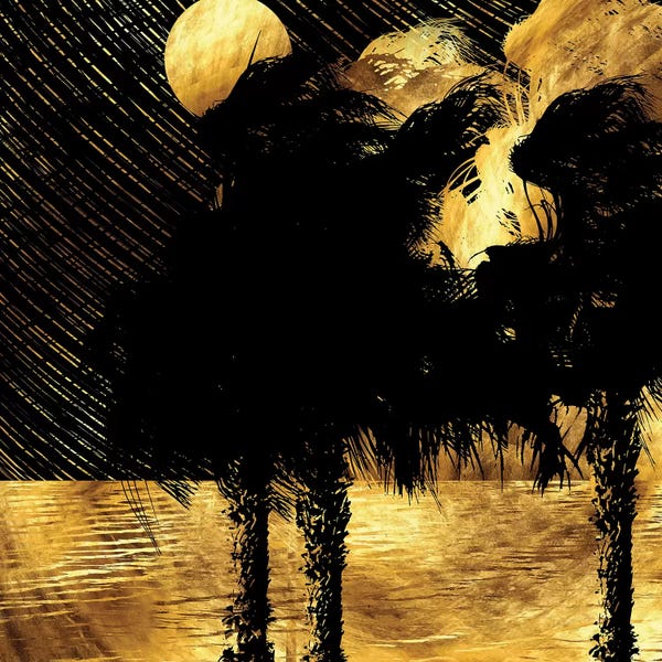 Daphne Horev: Tropical Rainy Night by Daphne Horev